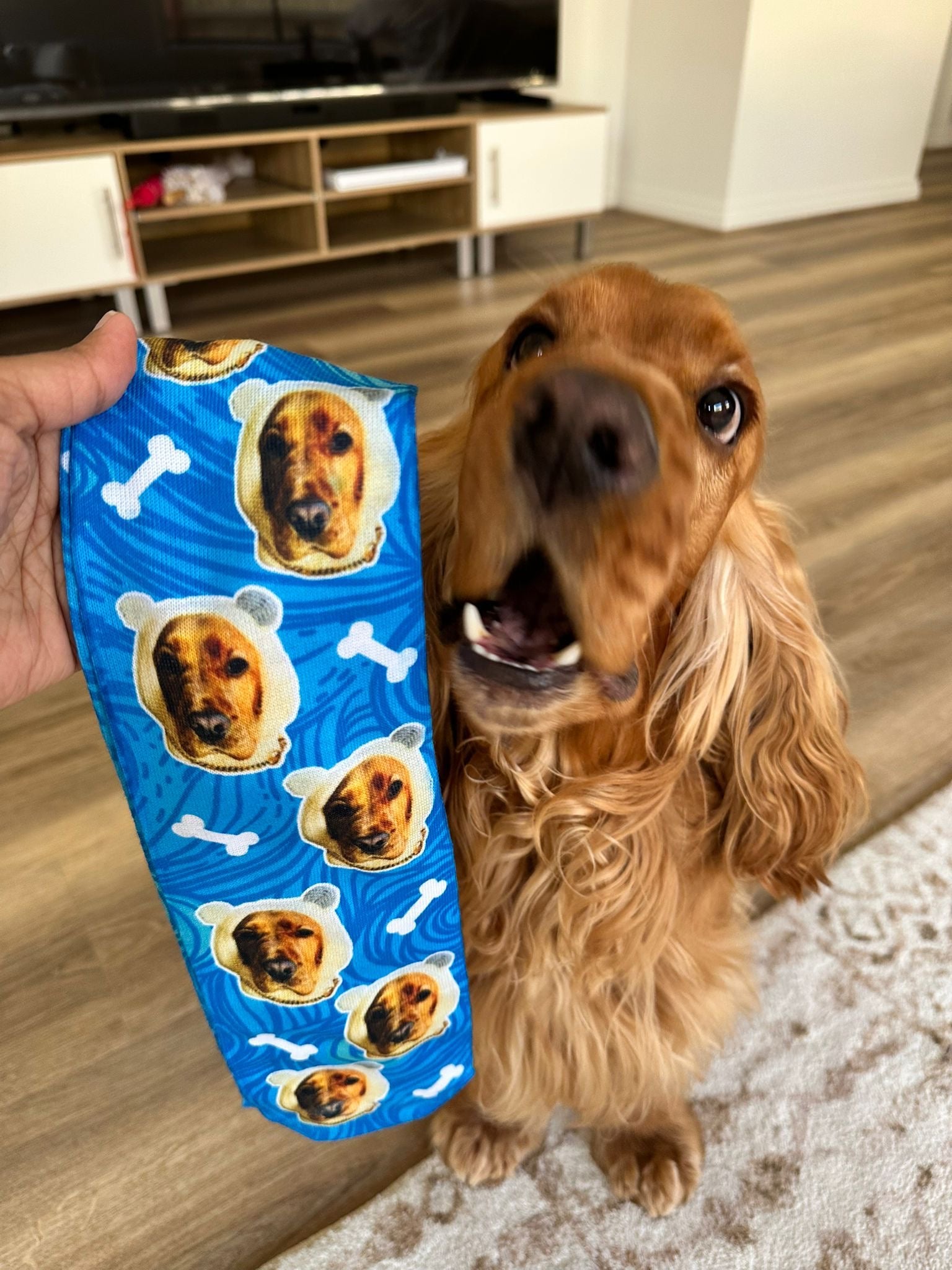 Custom Dog Socks